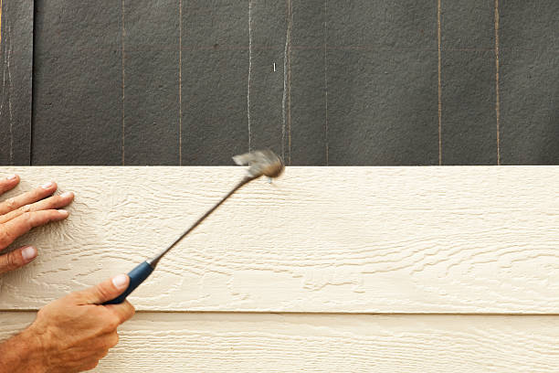 Best Siding Maintenance  in Mahomet, IL